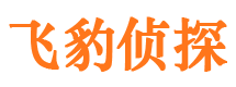 龙州外遇出轨调查取证